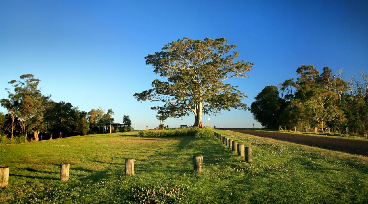 Oaks Toowoomba Hotel Экстерьер фото